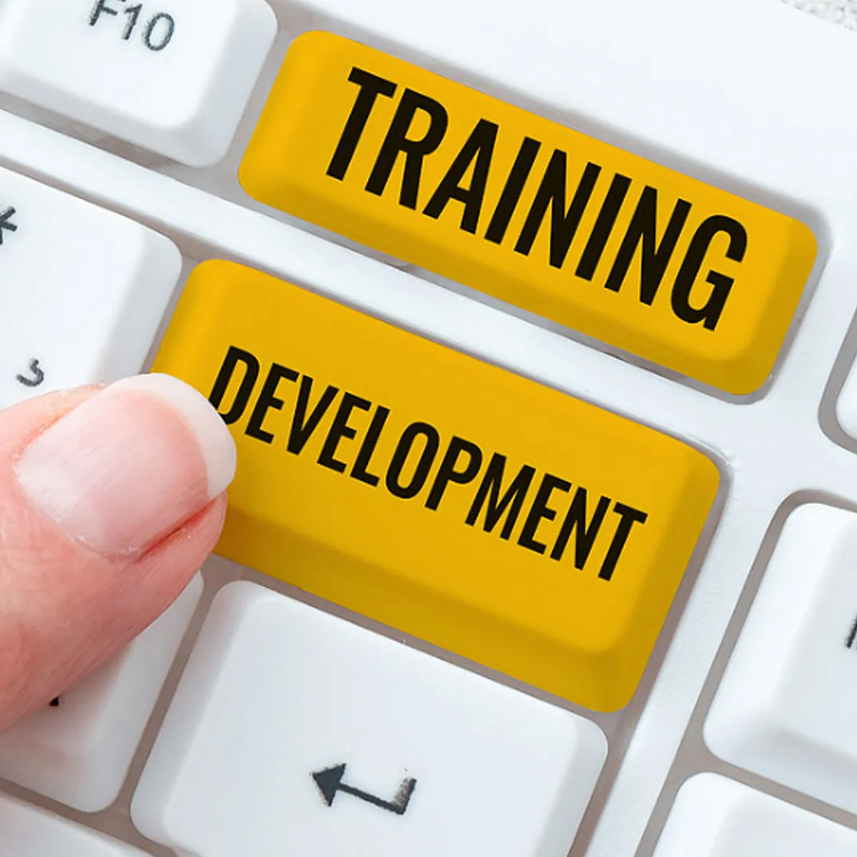 الورش التدريبية